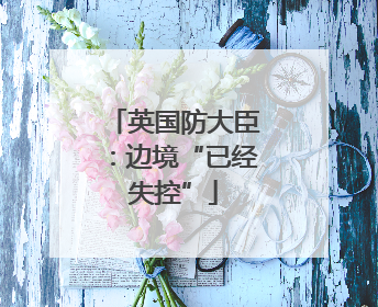 英国防大臣：边境“已经失控”