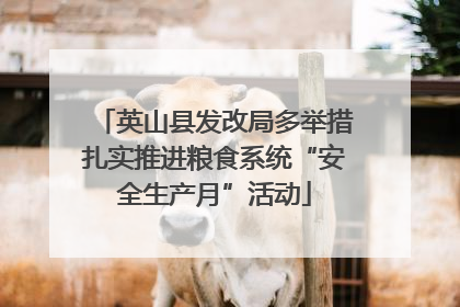 英山县发改局多举措扎实推进粮食系统“安全生产月”活动