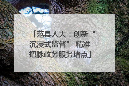 范县人大：创新“沉浸式监督” 精准把脉政务服务堵点