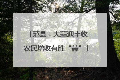 范县：大蒜迎丰收 农民增收有胜“蒜”
