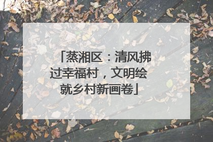 蒸湘区：清风拂过幸福村，文明绘就乡村新画卷