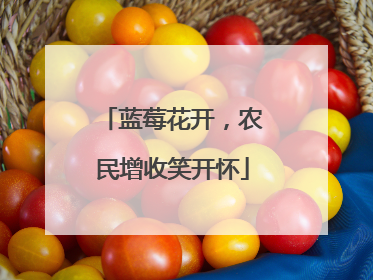 蓝莓花开，农民增收笑开怀