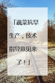 蔬菜抗旱生产，技术指导意见来了！