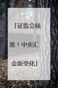 证监会核准！中央汇金新变化