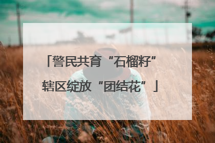 警民共育“石榴籽” 辖区绽放“团结花”