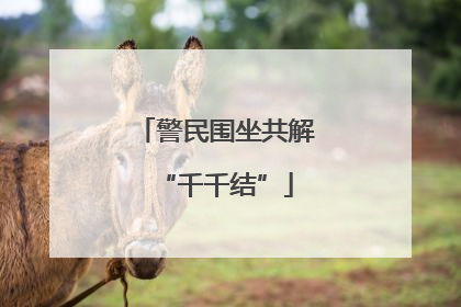 警民围坐共解“千千结”