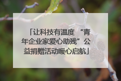 让科技有温度 “青年企业家爱心助残”公益捐赠活动暖心启航