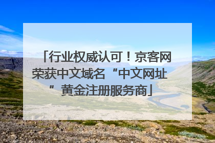 行业权威认可！京客网荣获中文域名“中文网址”黄金注册服务商