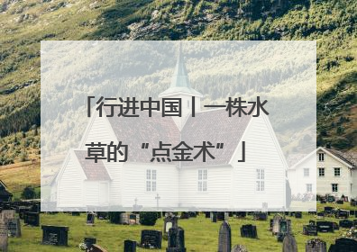 行进中国丨一株水草的“点金术”