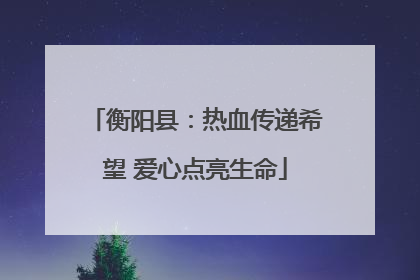 衡阳县：热血传递希望 爱心点亮生命