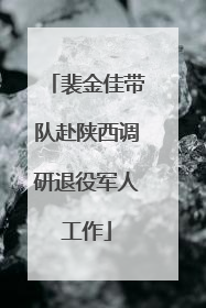 裴金佳带队赴陕西调研退役军人工作