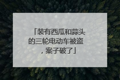 装有西瓜和蒜头的三轮电动车被盗，案子破了