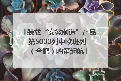 装载“安徽制造”产品 第5000列中欧班列（合肥）鸣笛起航