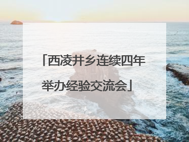 西凌井乡连续四年举办经验交流会