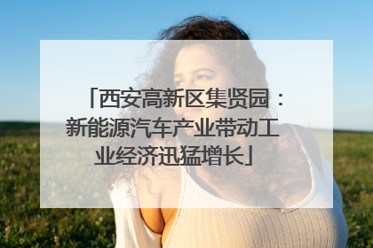 西安高新区集贤园：新能源汽车产业带动工业经济迅猛增长