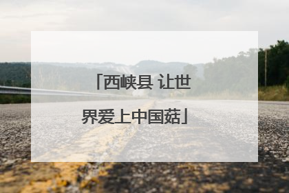 西峡县 让世界爱上中国菇
