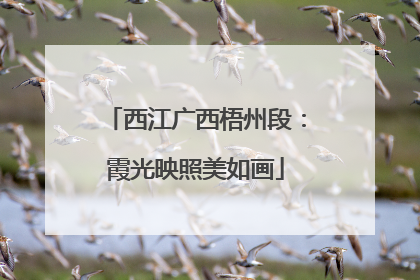 西江广西梧州段：霞光映照美如画