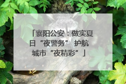 襄阳公安：做实夏日“夜警务” 护航城市“夜精彩”