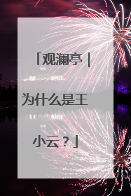 观澜亭｜为什么是王小云？