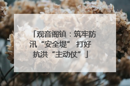 观音阁镇：筑牢防汛“安全堤” 打好抗洪“主动仗”