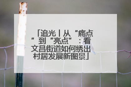 追光丨从“痛点”到“亮点”：看文昌街道如何绣出村居发展新图景