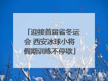 迎接首届省冬运会 西安冰球小将假期训练不停歇
