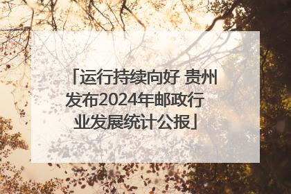 运行持续向好 贵州发布2024年邮政行业发展统计公报