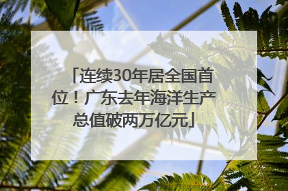 连续30年居全国首位！广东去年海洋生产总值破两万亿元