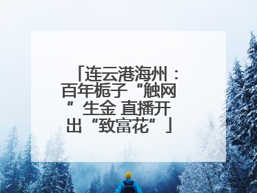 连云港海州：百年栀子“触网”生金 直播开出“致富花”