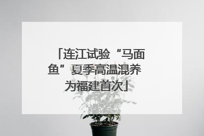 连江试验“马面鱼”夏季高温混养 为福建首次