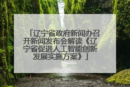 辽宁省政府新闻办召开新闻发布会解读《辽宁省促进人工智能创新发展实施方案》