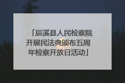 辰溪县人民检察院开展民法典颁布五周年检察开放日活动