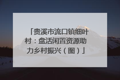 贵溪市流口镇细叶村：盘活闲置资源助力乡村振兴（图）