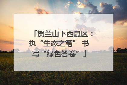 贺兰山下西夏区：执“生态之笔” 书写“绿色答卷”