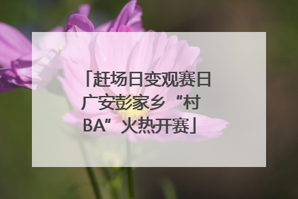 赶场日变观赛日 广安彭家乡“村BA”火热开赛
