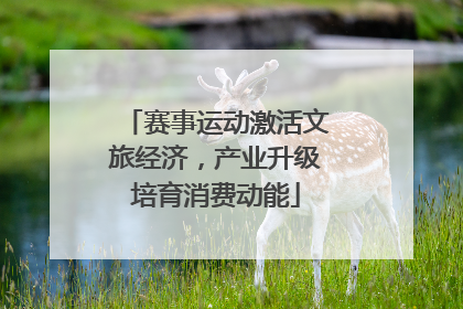 赛事运动激活文旅经济，产业升级培育消费动能