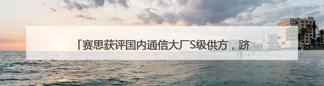 赛思获评国内通信大厂S级供方，跻身国产SLIC语音芯片领军者行列
