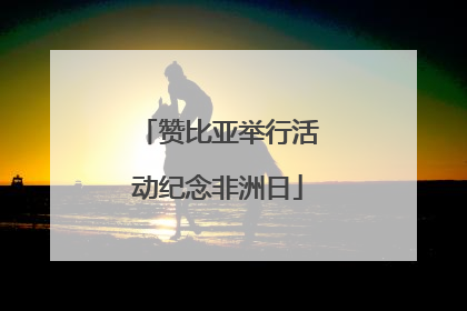 赞比亚举行活动纪念非洲日