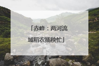 赤峰：两河流域稻农插秧忙
