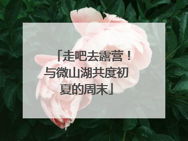 走吧去露营！与微山湖共度初夏的周末