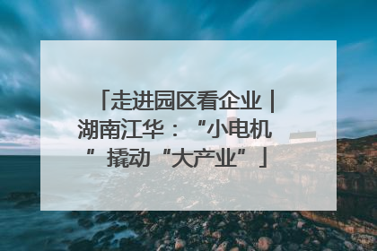 走进园区看企业｜湖南江华：“小电机”撬动“大产业”