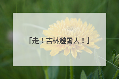 走！吉林避暑去！