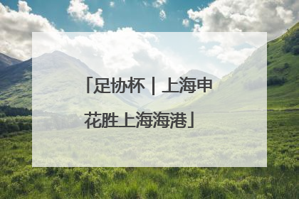 足协杯｜上海申花胜上海海港