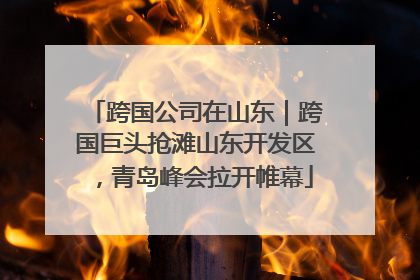 跨国公司在山东｜跨国巨头抢滩山东开发区，青岛峰会拉开帷幕