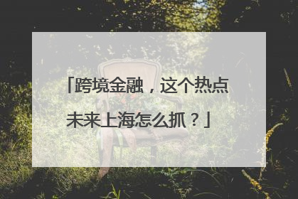 跨境金融，这个热点未来上海怎么抓？