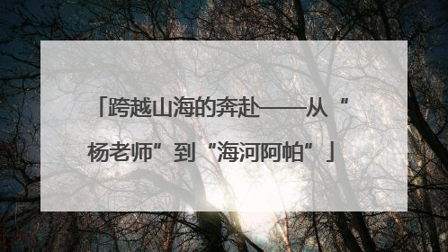跨越山海的奔赴——从“杨老师”到“海河阿帕”