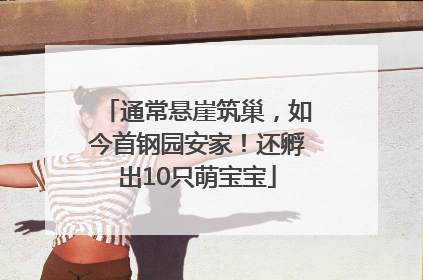 通常悬崖筑巢，如今首钢园安家！还孵出10只萌宝宝