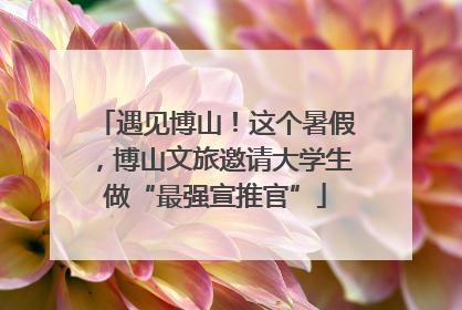 遇见博山！这个暑假，博山文旅邀请大学生做“最强宣推官”