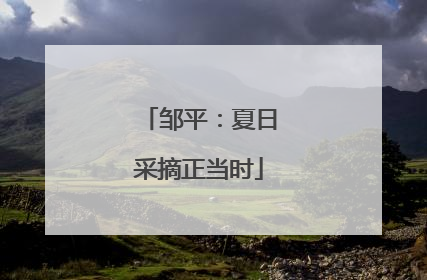 邹平：夏日采摘正当时