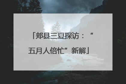 郏县三夏探访：“五月人倍忙”新解